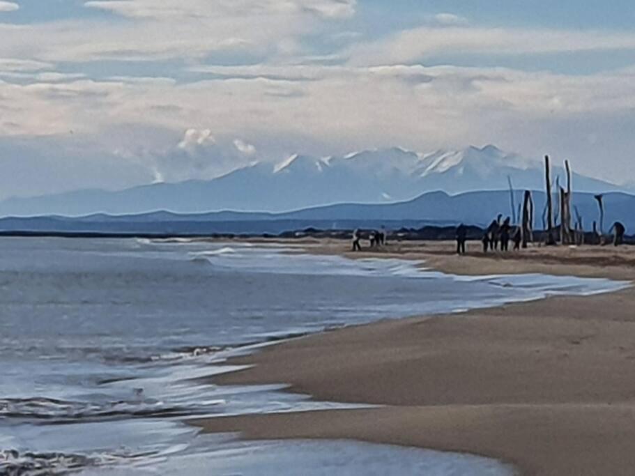 T2 Cosy A La Plage, Terrasse Vue Sur Mer Et Parking Privatif Narbonne Buitenkant foto