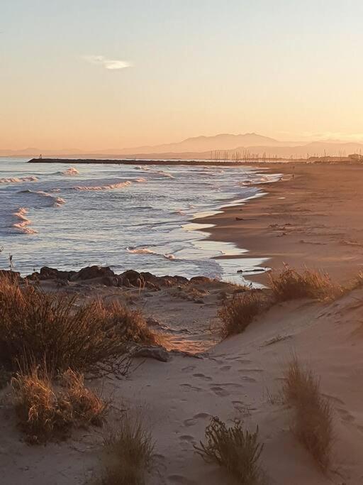 T2 Cosy A La Plage, Terrasse Vue Sur Mer Et Parking Privatif Narbonne Buitenkant foto