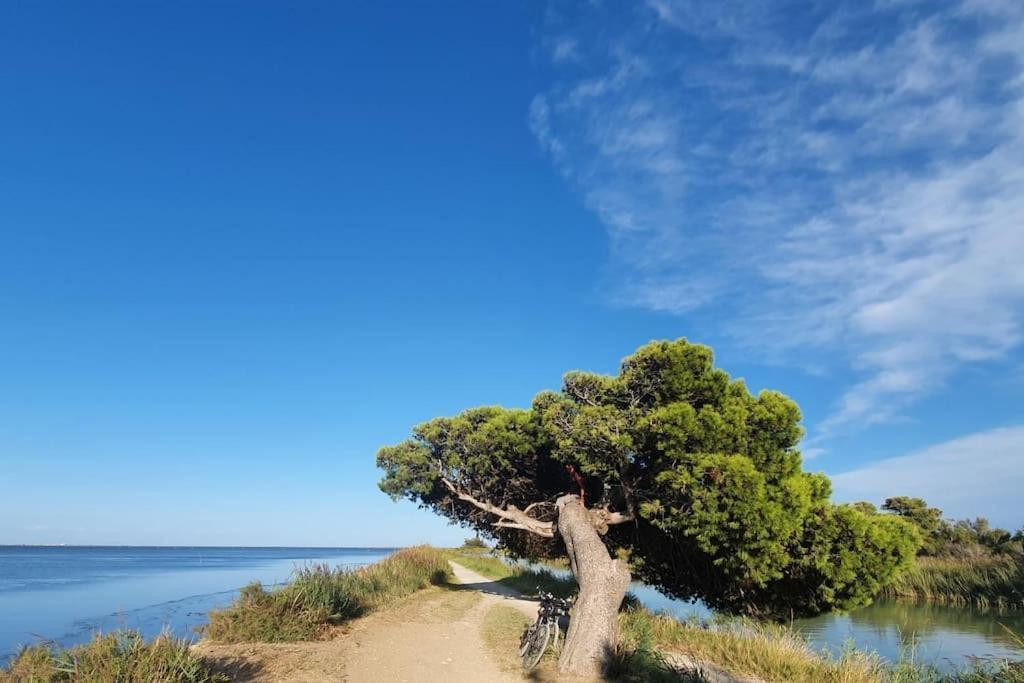 T2 Cosy A La Plage, Terrasse Vue Sur Mer Et Parking Privatif Narbonne Buitenkant foto